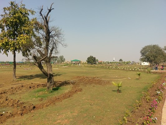 Nandanvan Jungle Safari Nandanvan Jungle Safari