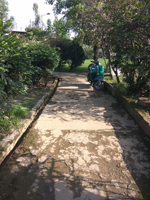 Indira Park Indira Park