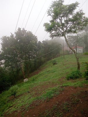 Chingarel Biodiversity Park Chingarel Biodiversity Park