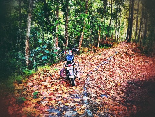 Kitam Bird Sanctuary Kitam Bird Sanctuary