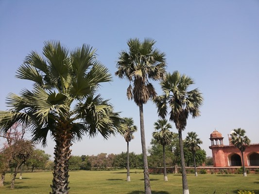 Tomb of Akbar Tomb of Akbar