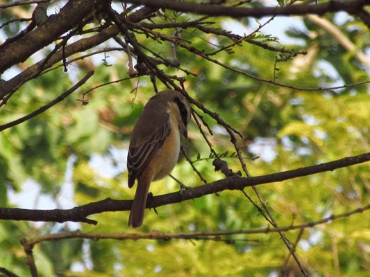 Banabitan Biodiversity Park Banabitan Biodiversity Park